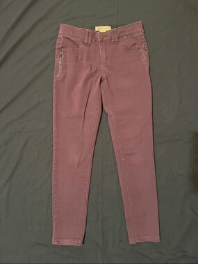 Democracy Deep Purple Skinny Jeans